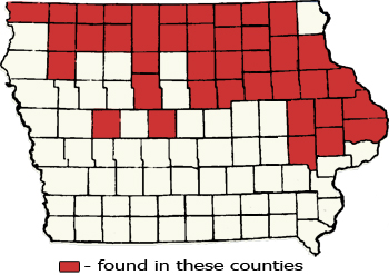 Counties Map