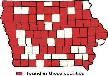 Counties Map