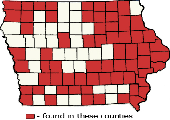 Counties Map