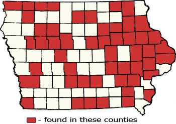 Counties Map