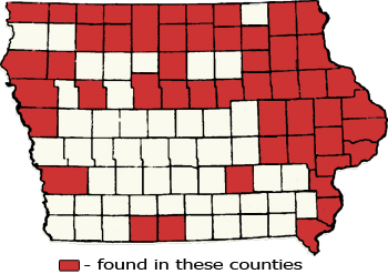 Counties Map