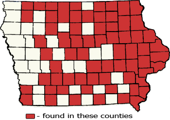 Counties Map