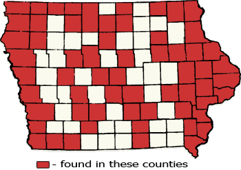 Counties Map