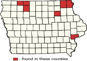 Counties Map