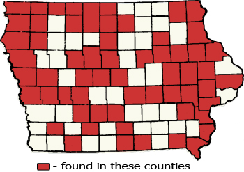 Counties Map