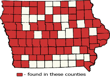 Counties Map