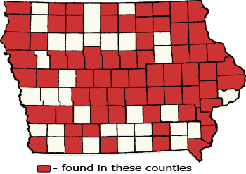 Counties Map