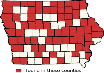 Counties Map