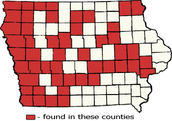 Counties Map