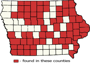 Counties Map