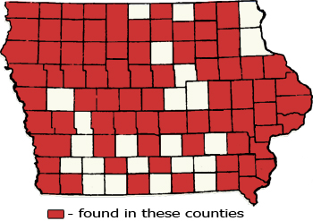 Counties Map