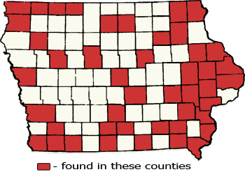 Counties Map