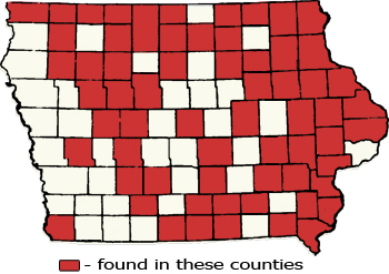 Counties Map