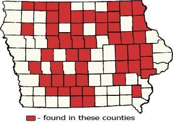 Counties Map