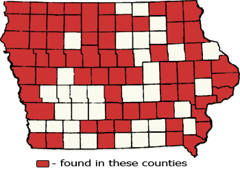 Counties Map