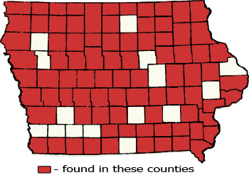 Counties Map