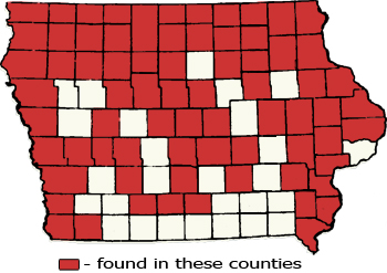 Counties Map