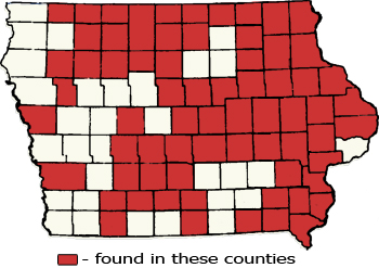 Counties Map