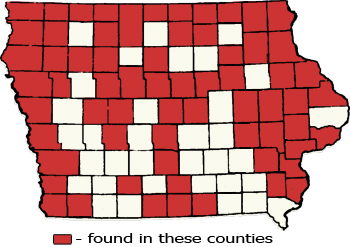 Counties Map