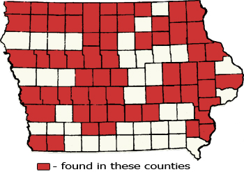 Counties Map