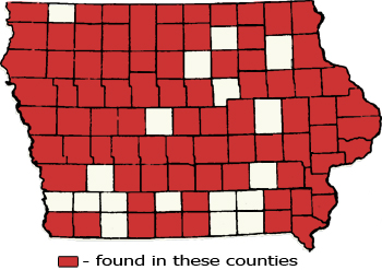 Counties Map