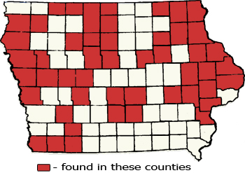 Counties Map