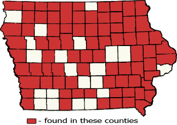 Counties Map