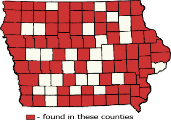 Counties Map