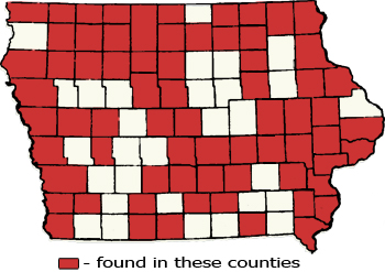 Counties Map