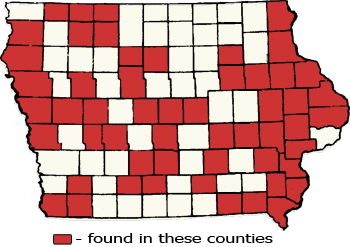 Counties Map