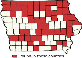 Counties Map