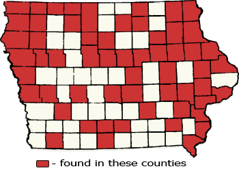 Counties Map