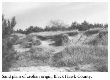Iowa and Its Flora - Sand plain of aeolian origin, Black Hawk County.