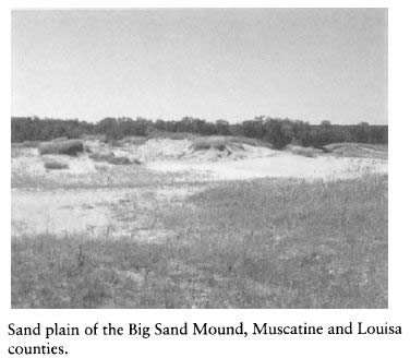 Iowa and Its Flora - Sand plain of the Big Sand Mound, Muscatine and Louisa counties.