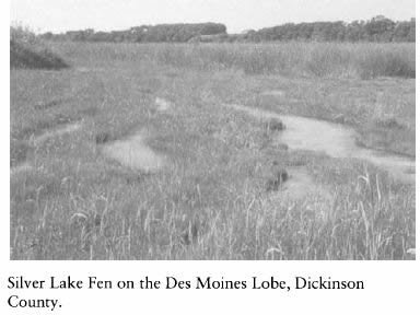 Iowa and Its Flora - Silver Lake Fen on the Des Moines Lobe, Dickinson County.