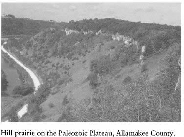 Iowa and Its Flora - Hill prairie on the Paleozoic Plateau, Allamakee County