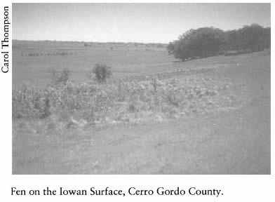 Iowa and Its Flora - Fen on the Iowan Surface, Cerro Gordo County.